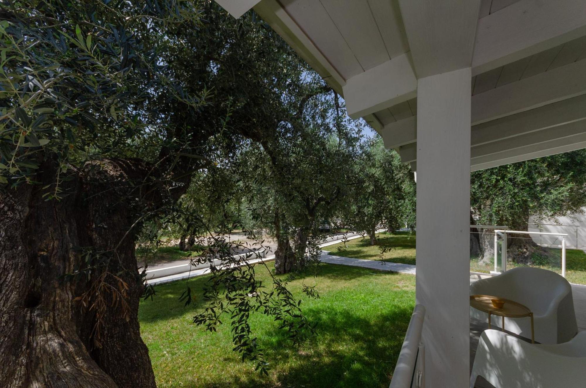 Agriturismo Giorgio Mattinata Exterior photo