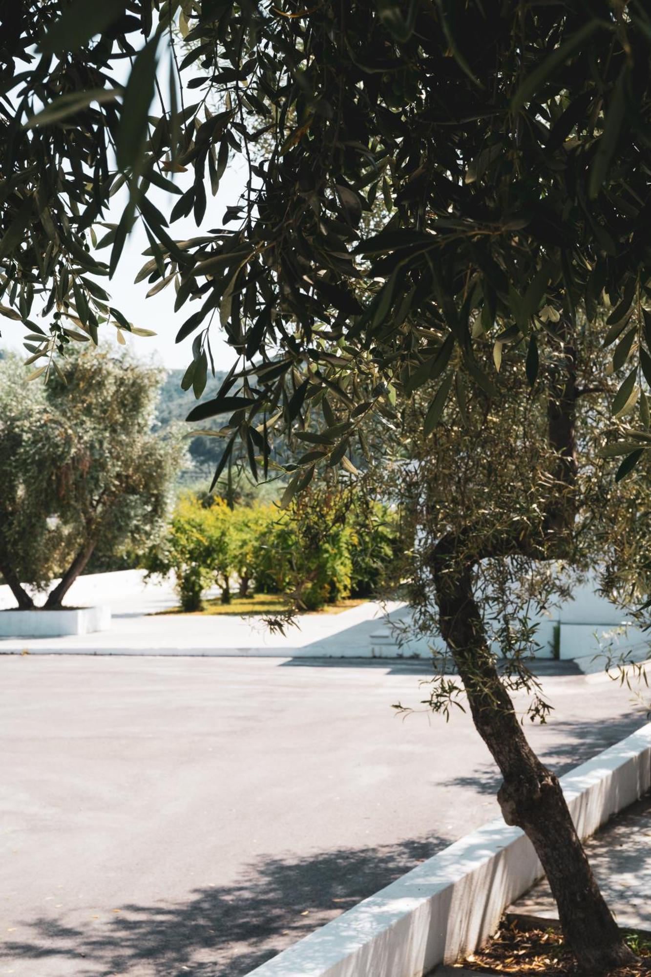 Agriturismo Giorgio Mattinata Exterior photo