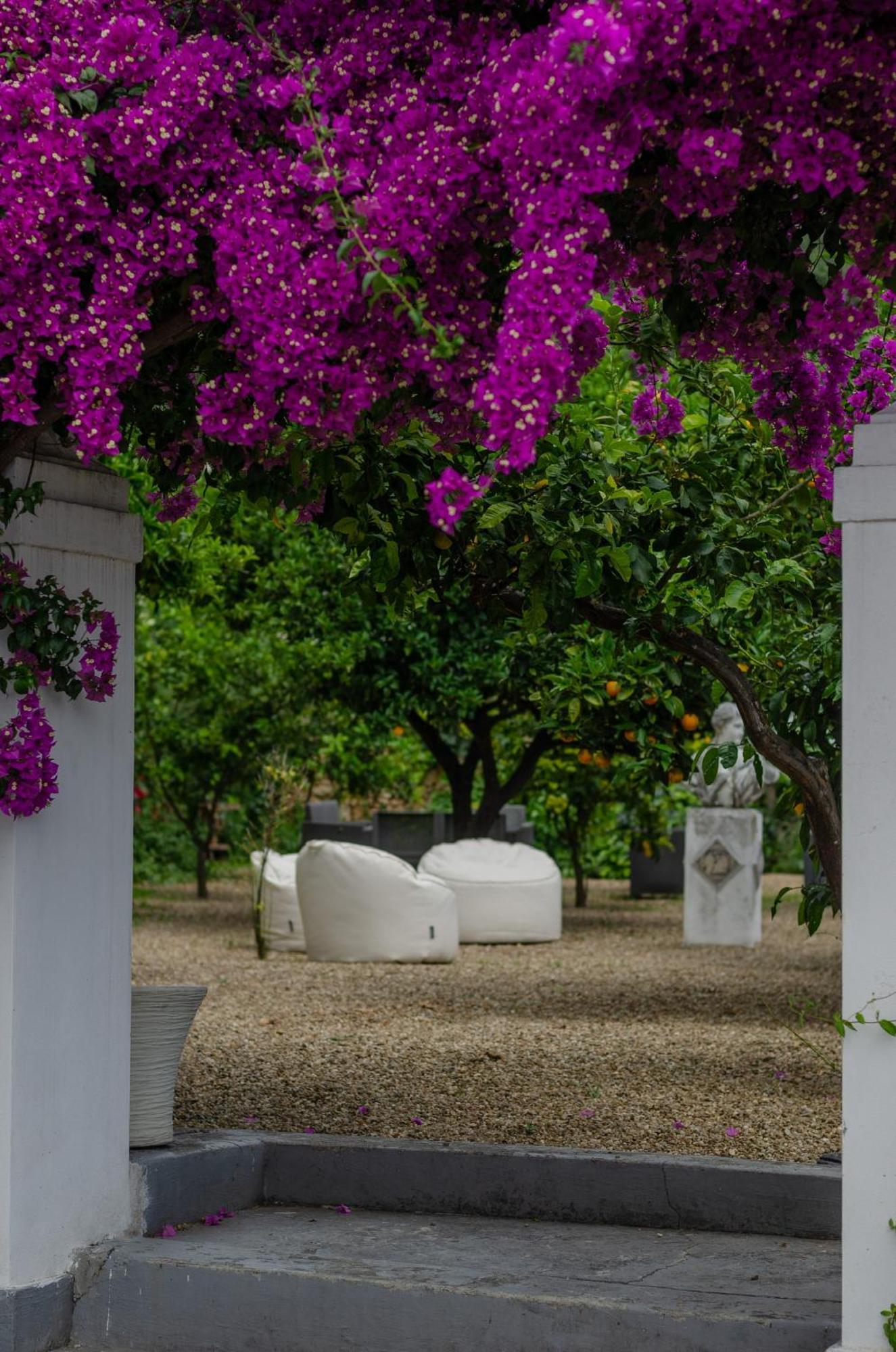 Agriturismo Giorgio Mattinata Exterior photo